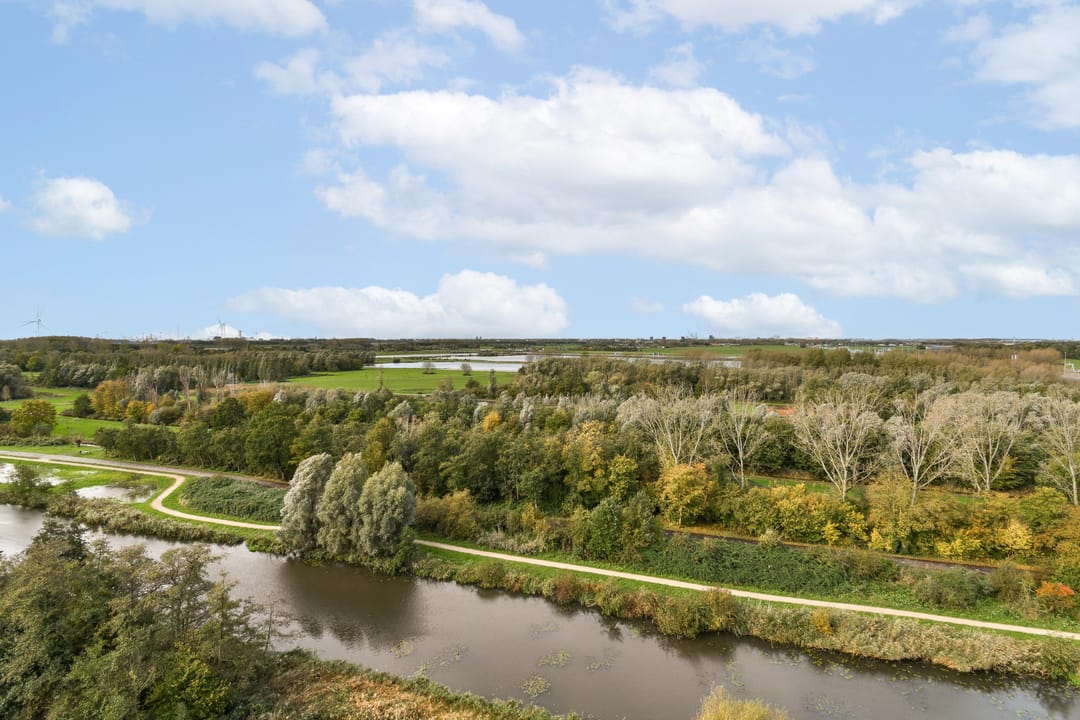 Foto 2 van Boerhaavestraat 463