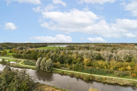 Boerhaavestraat 463 secondary image