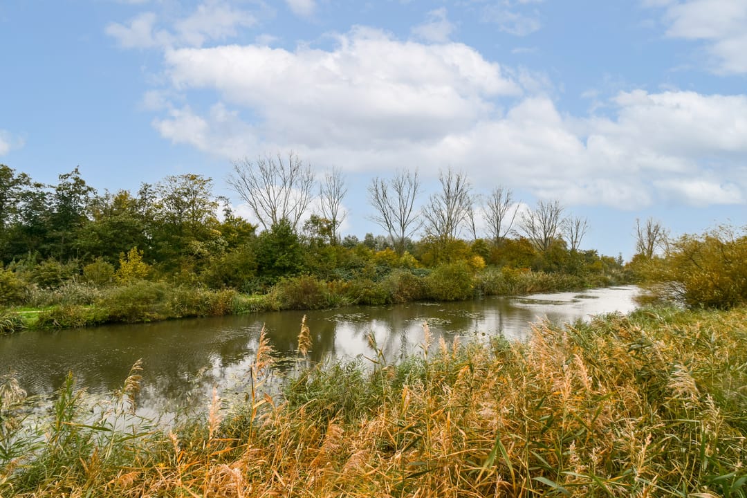 Foto 28 van Boerhaavestraat 463