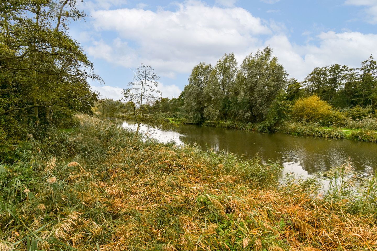 Foto 29 van Boerhaavestraat 463