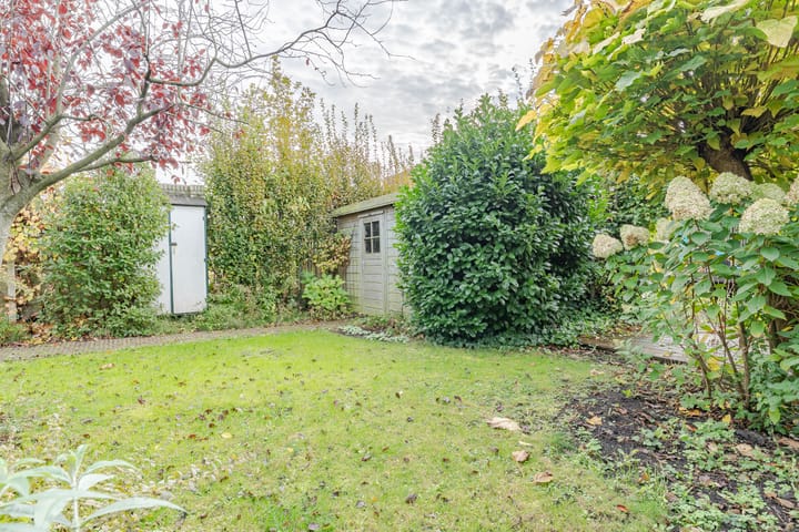 Photo 31 of Reinette 22