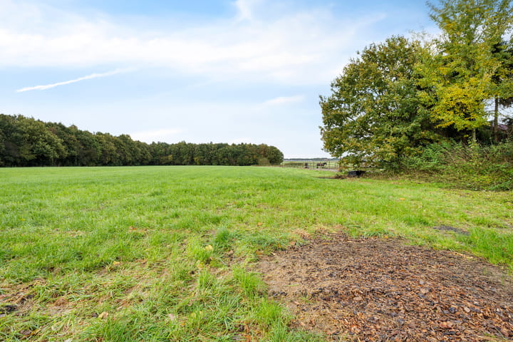 Foto 38 van Exloërweg 32