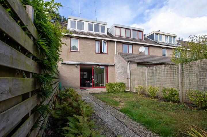 Photo 4 of Chirurgijn 12