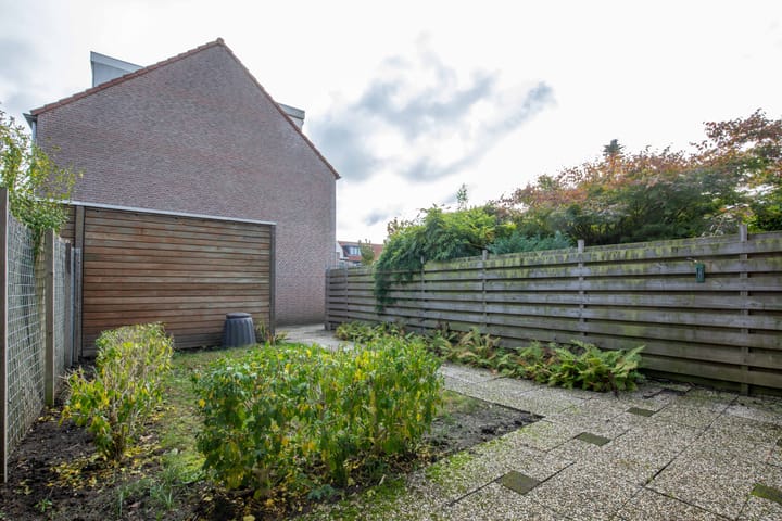 Photo 14 of Chirurgijn 12