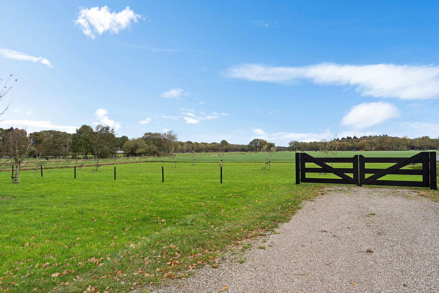 Foto 49 van Koningin Wilhelminalaan 15