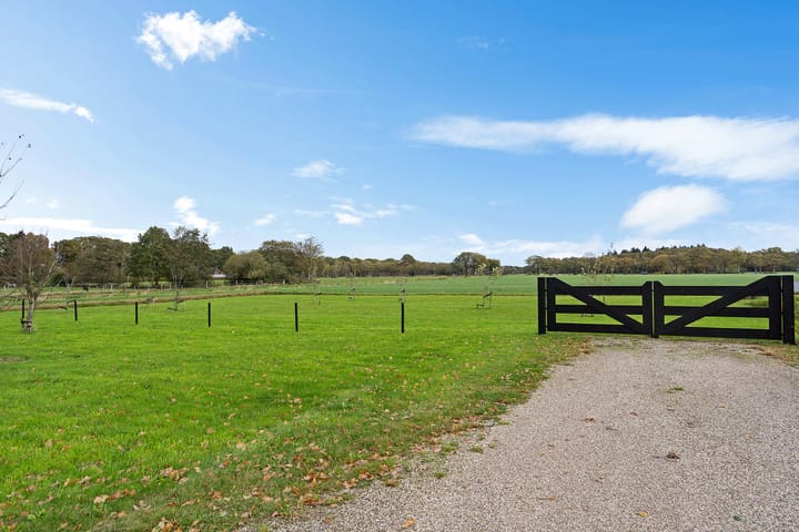 Photo 48 of Koningin Wilhelminalaan 15