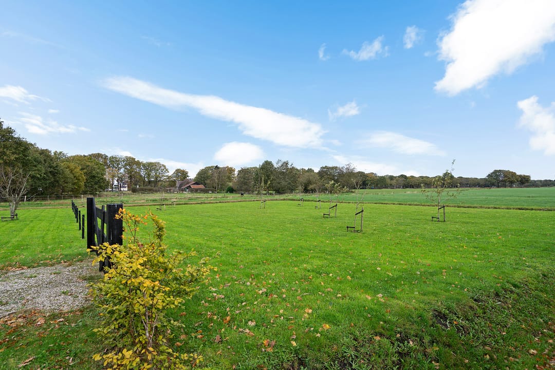 Foto 52 van Koningin Wilhelminalaan 15