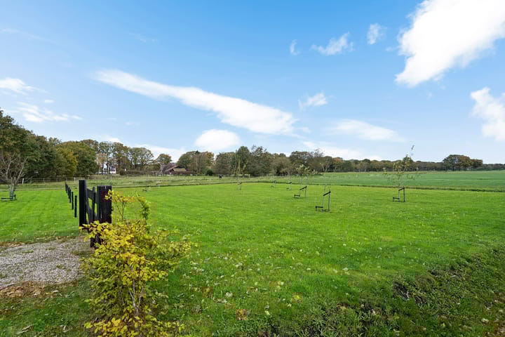 Photo 51 of Koningin Wilhelminalaan 15