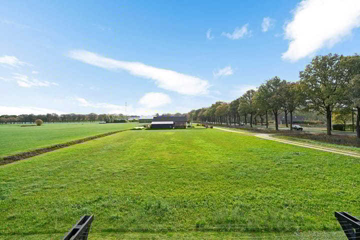 Photo 52 of Koningin Wilhelminalaan 15