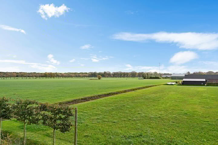 Photo 53 of Koningin Wilhelminalaan 15