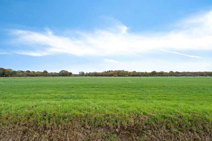 Photo 57 of Koningin Wilhelminalaan 15