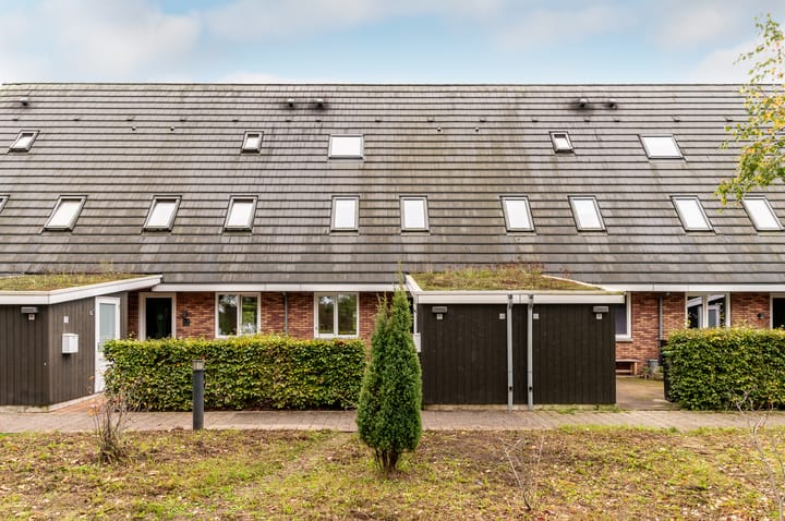 Foto 33 van Nelson Mandelahof 5