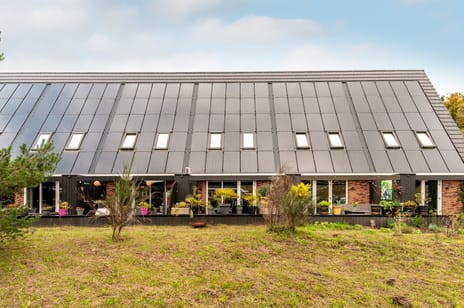 undefined main image