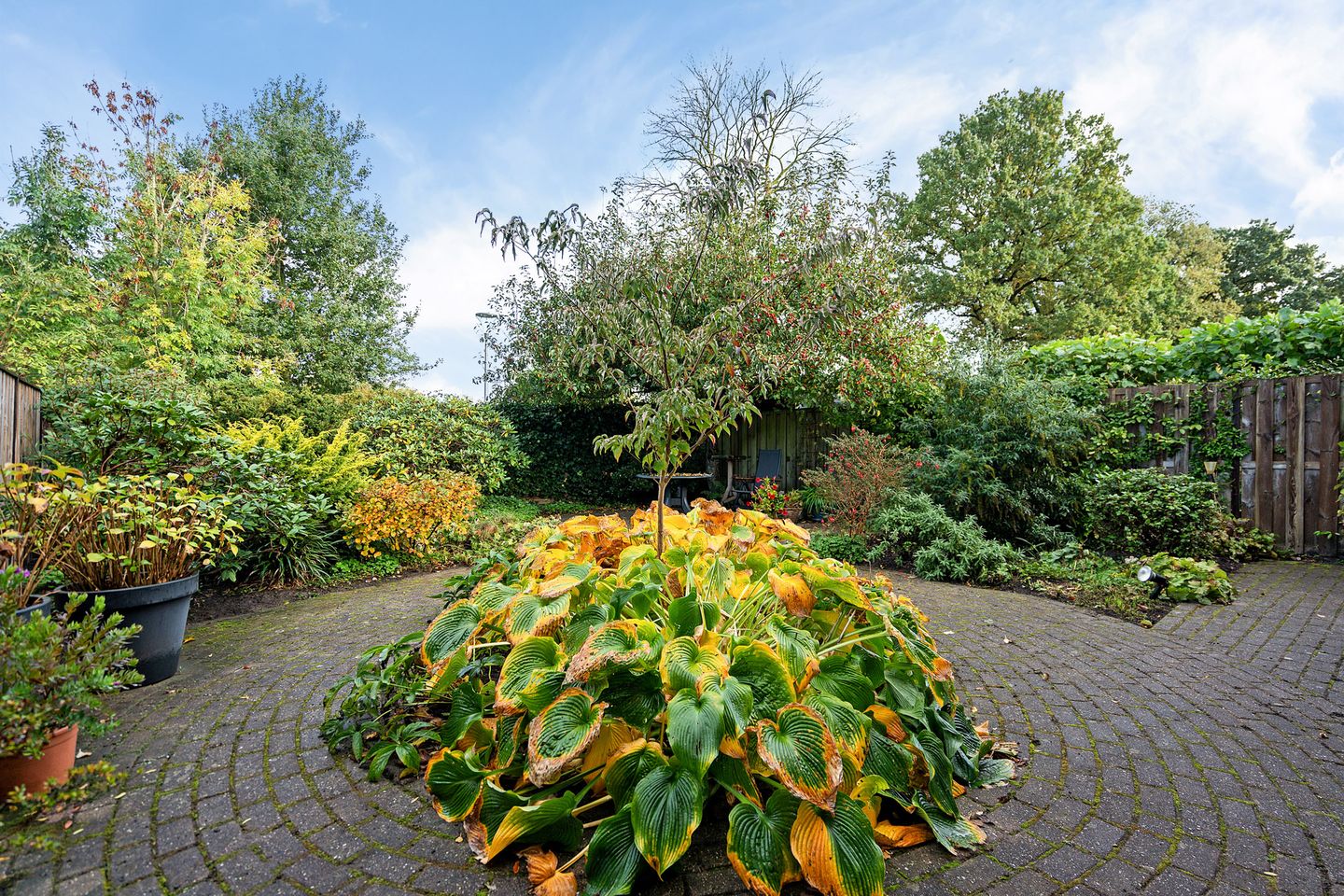 Foto 29 van De teeme 14