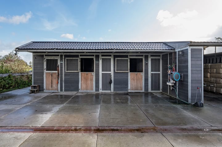 Foto 29 van Wittekruisweg 19