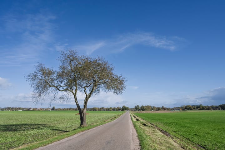 Foto 63 van Wittekruisweg 19