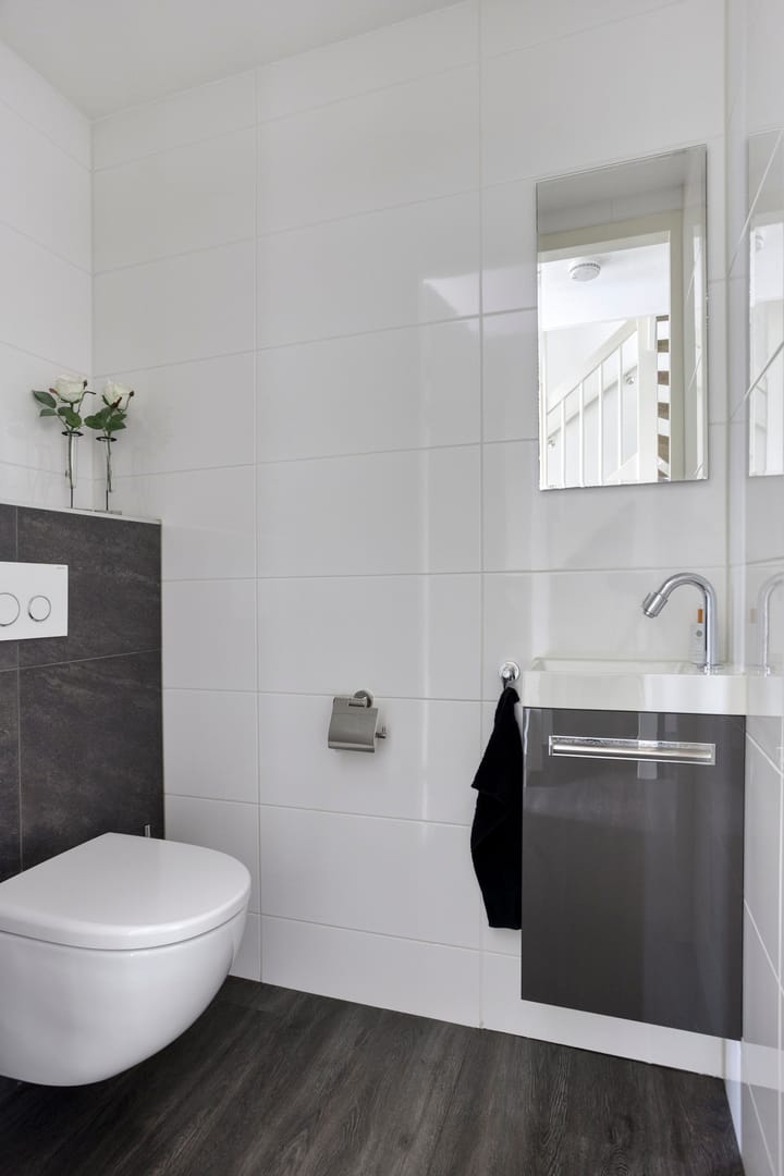 Foto 9 van Koolzaadakker 9