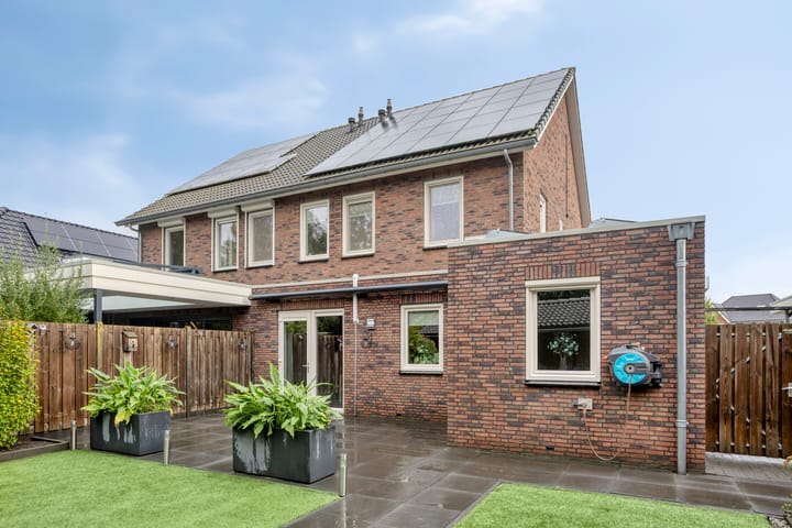 Foto 36 van Koolzaadakker 9