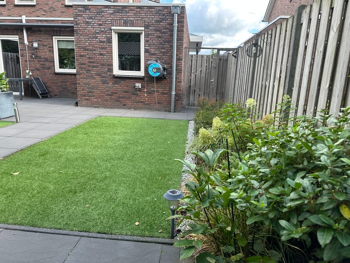 Foto 38 van Koolzaadakker 9