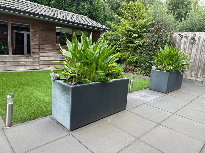 Foto 39 van Koolzaadakker 9