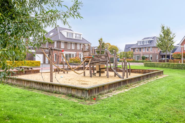 Foto 46 van Koolzaadakker 9