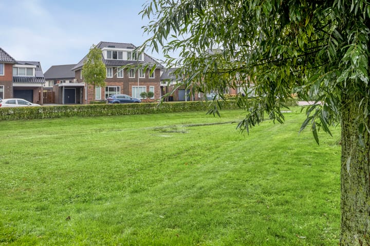 Foto 47 van Koolzaadakker 9