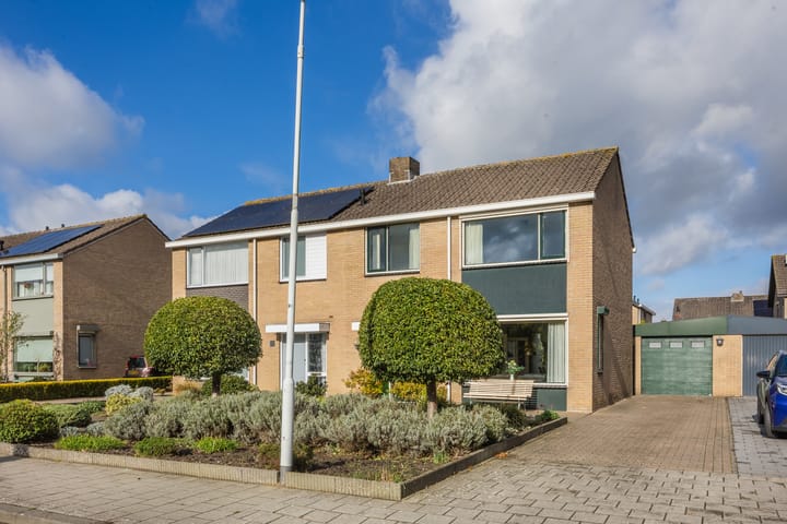 Kokhaan 6 main image