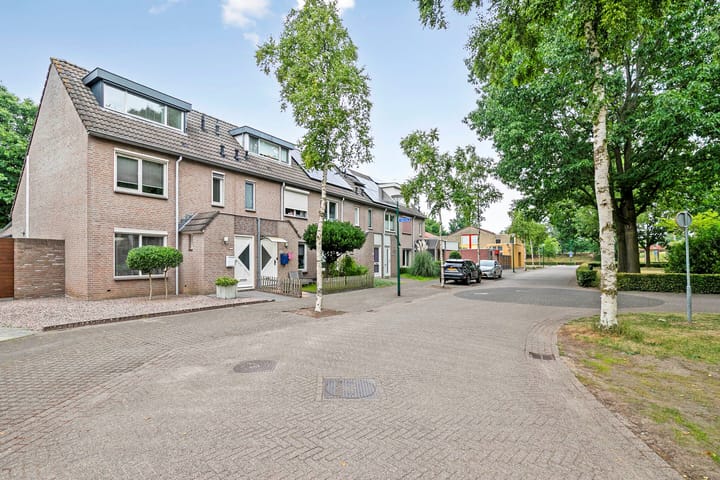 Foto 6 van Wegedoorn 213