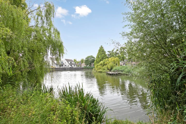 Foto 45 van Wegedoorn 213