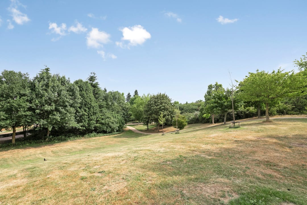 Foto 47 van Wegedoorn 213