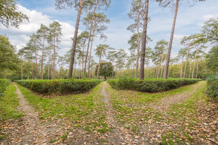 Foto 32 van Sint Dionysiusstraat 23