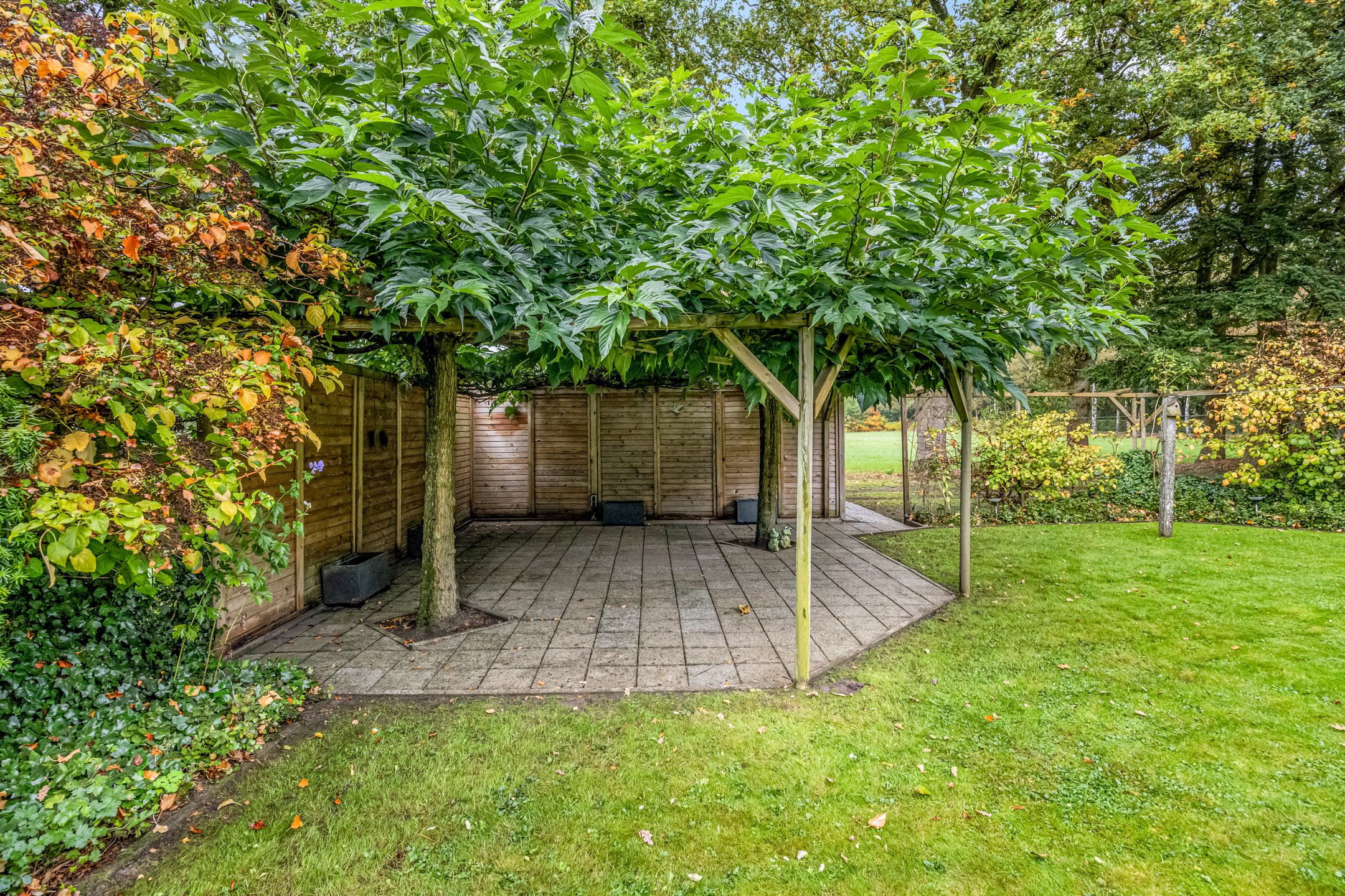 Photo 60 of Speulderbosweg 35