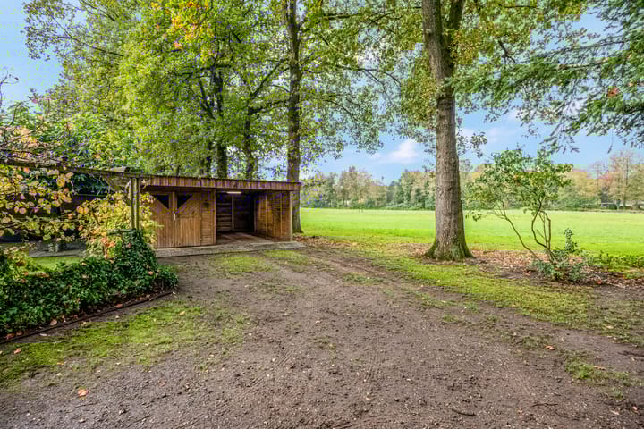 Photo 61 of Speulderbosweg 35