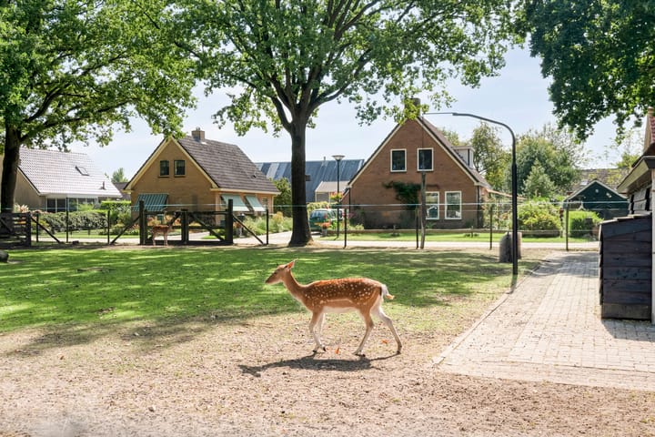 Photo 34 of Meester Hoekstrastraat 2