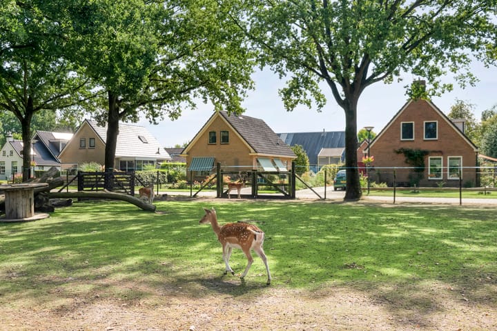 Photo 35 of Meester Hoekstrastraat 2