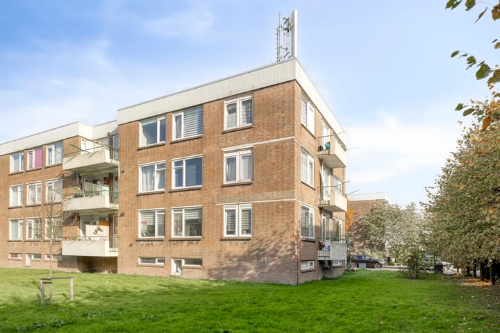 Foto 21 van Kruiningenstraat 195