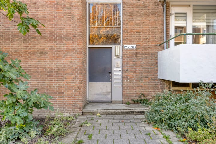 Foto 22 van Kruiningenstraat 195