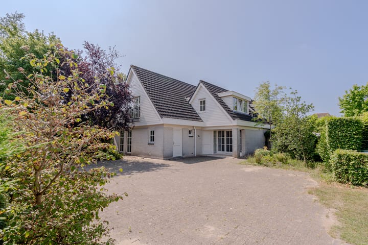 Dotterbloem 6 main image