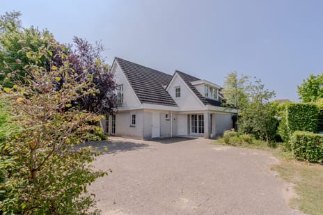 Dotterbloem thumbnail