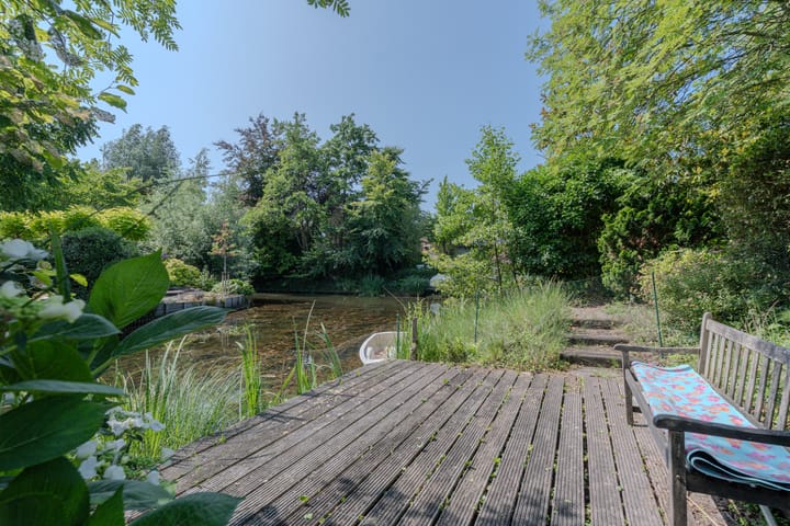 Foto 3 van Dotterbloem 6