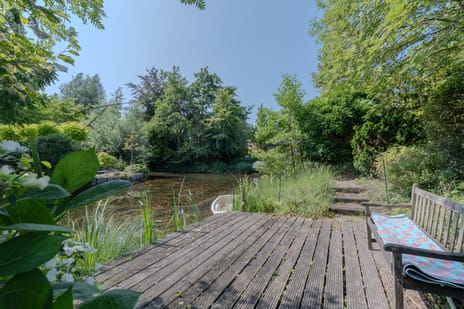 Dotterbloem 6 tertiary image