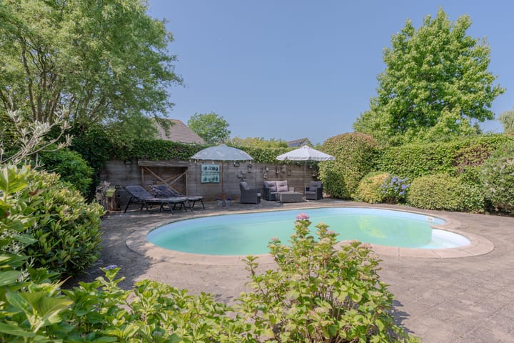 Foto 32 van Dotterbloem 6