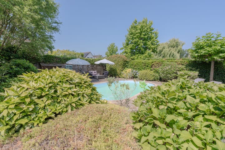 Foto 34 van Dotterbloem 6