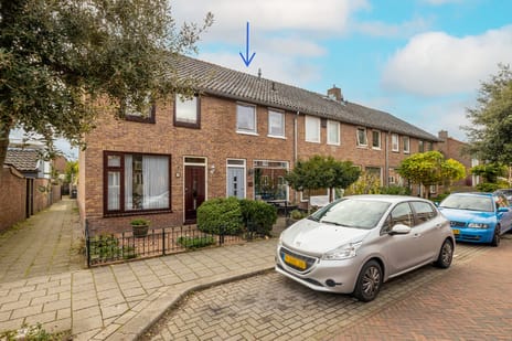 undefined main image