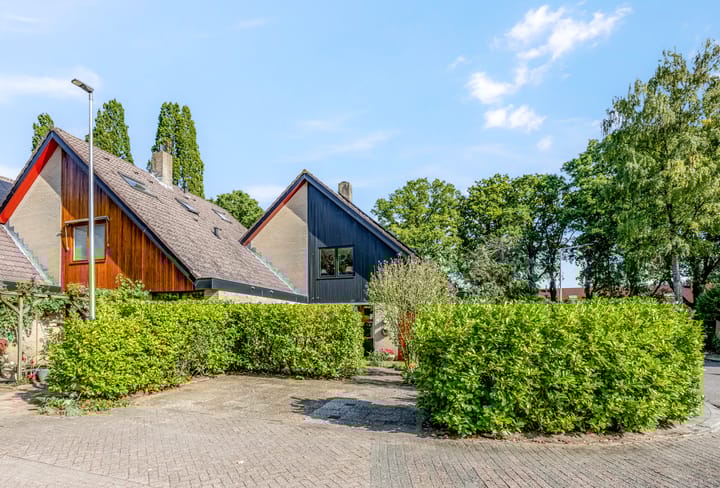 Foto 1 van Boekweitakker 2