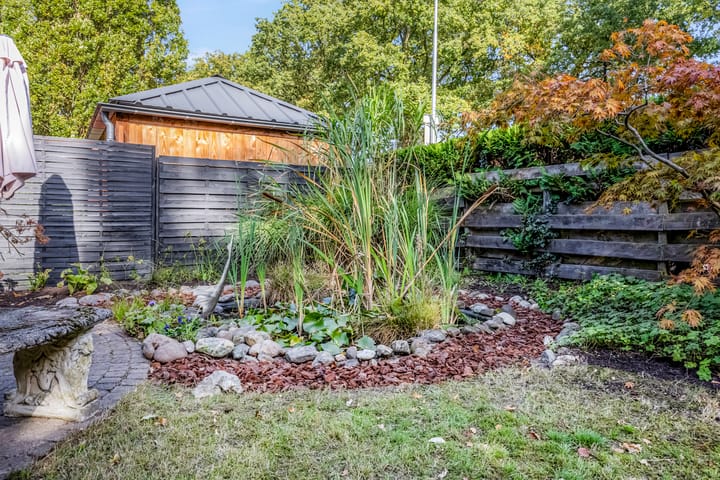 Foto 43 van Boekweitakker 2