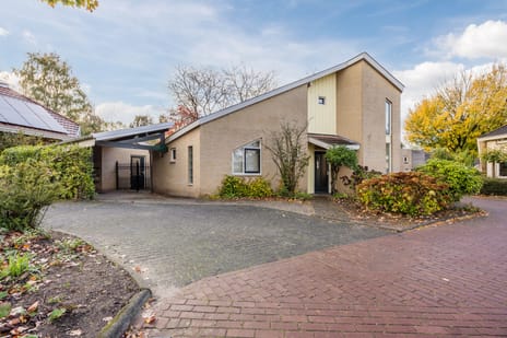 undefined main image