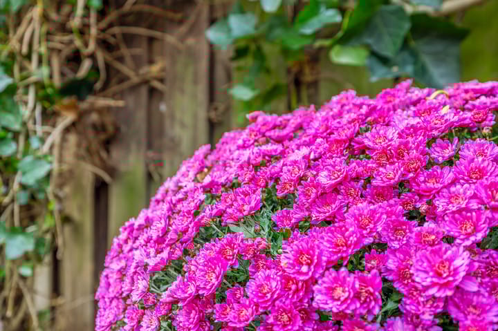 Foto 19 van Veenburg 17