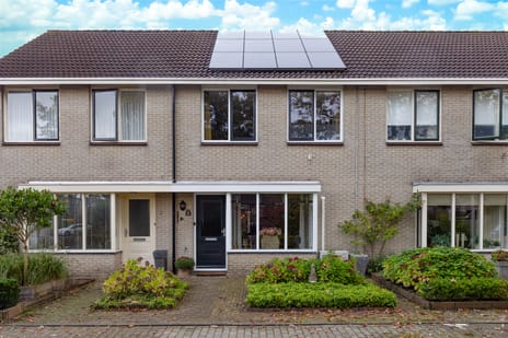 undefined main image