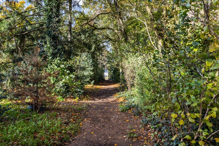 Photo 45 of Kamperfoeliehof 21